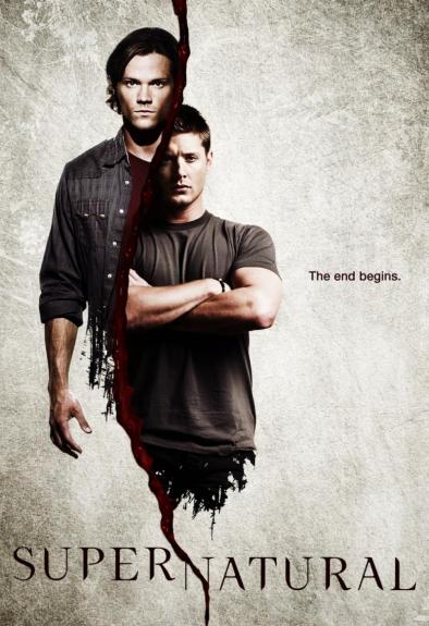 http://directlinkspot.persiangig.com/TV/Supernatural/Supernatural%20-%20Sixth%20Season.jpg